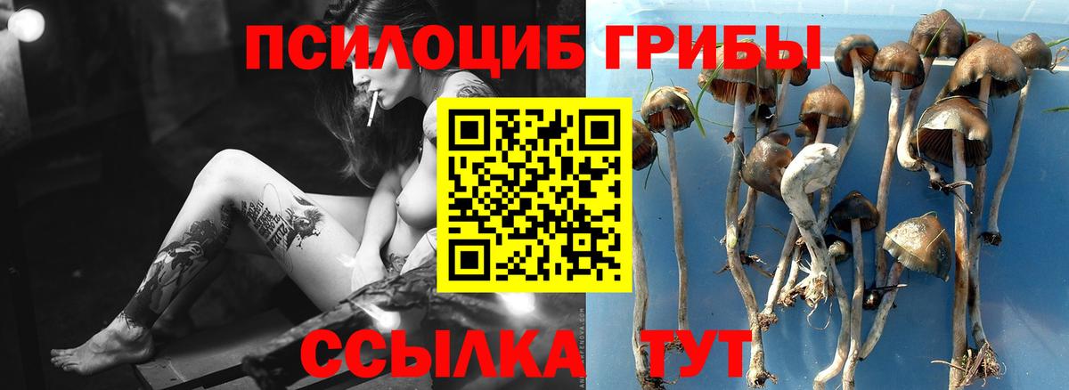 Галлюциногенные грибы MAGIC MUSHROOMS Южно-Сахалинск
