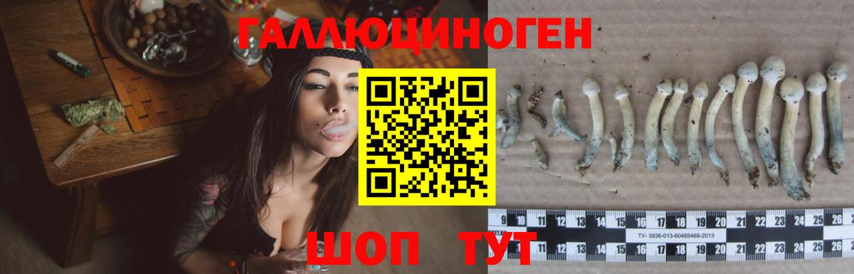 Южно-Сахалинск  Псилоцибиновые грибы Psilocybine cubensis  Вход с VPN 